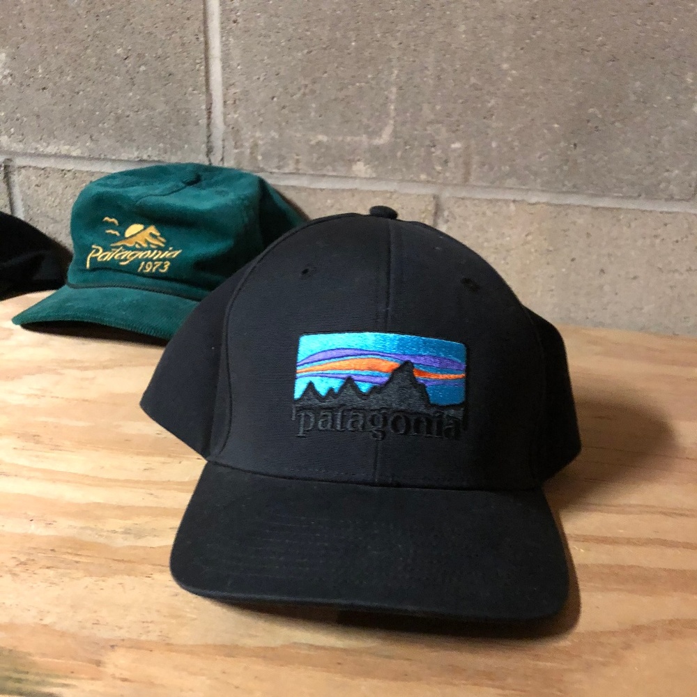 Patagonia Snap back